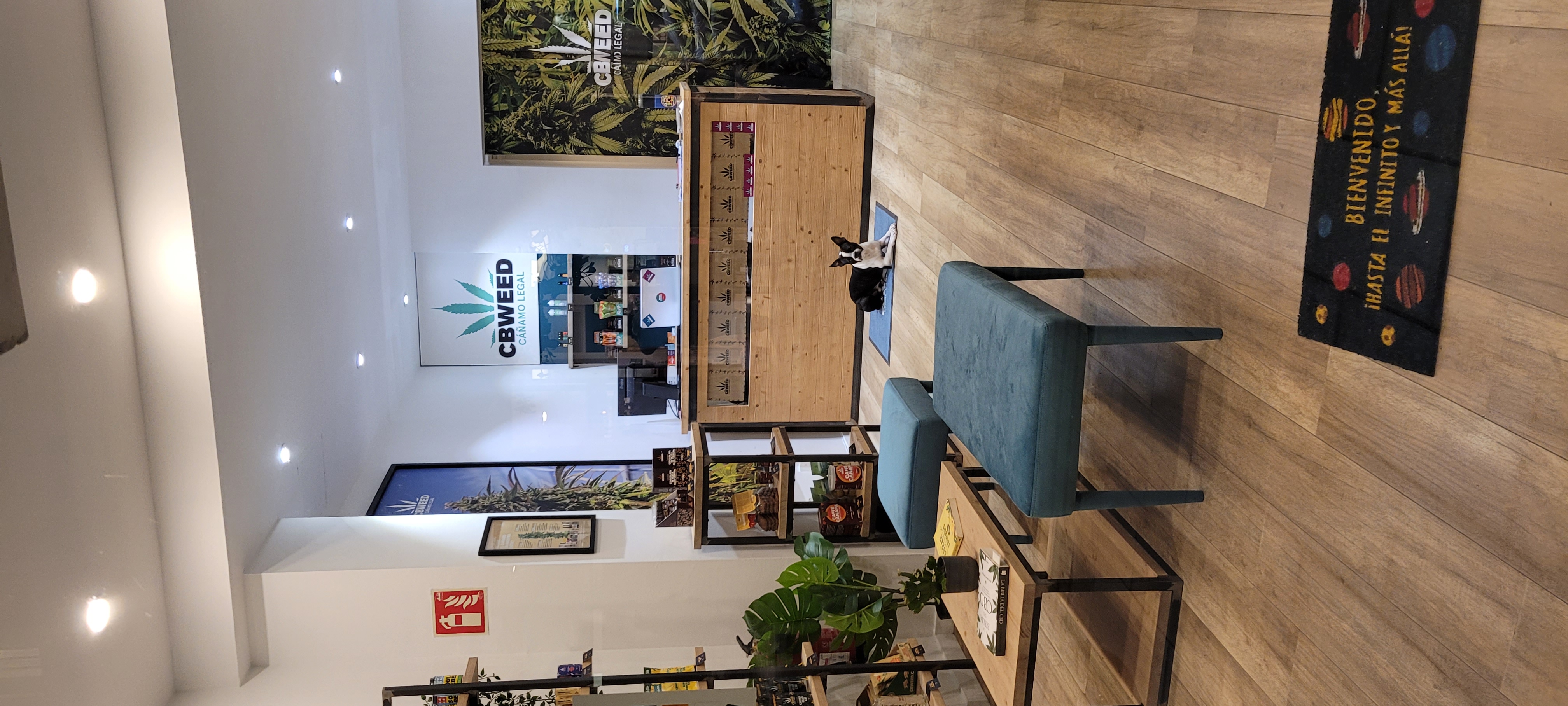 Traspaso de tienda de derivados de cáñamo en el centro de Palma