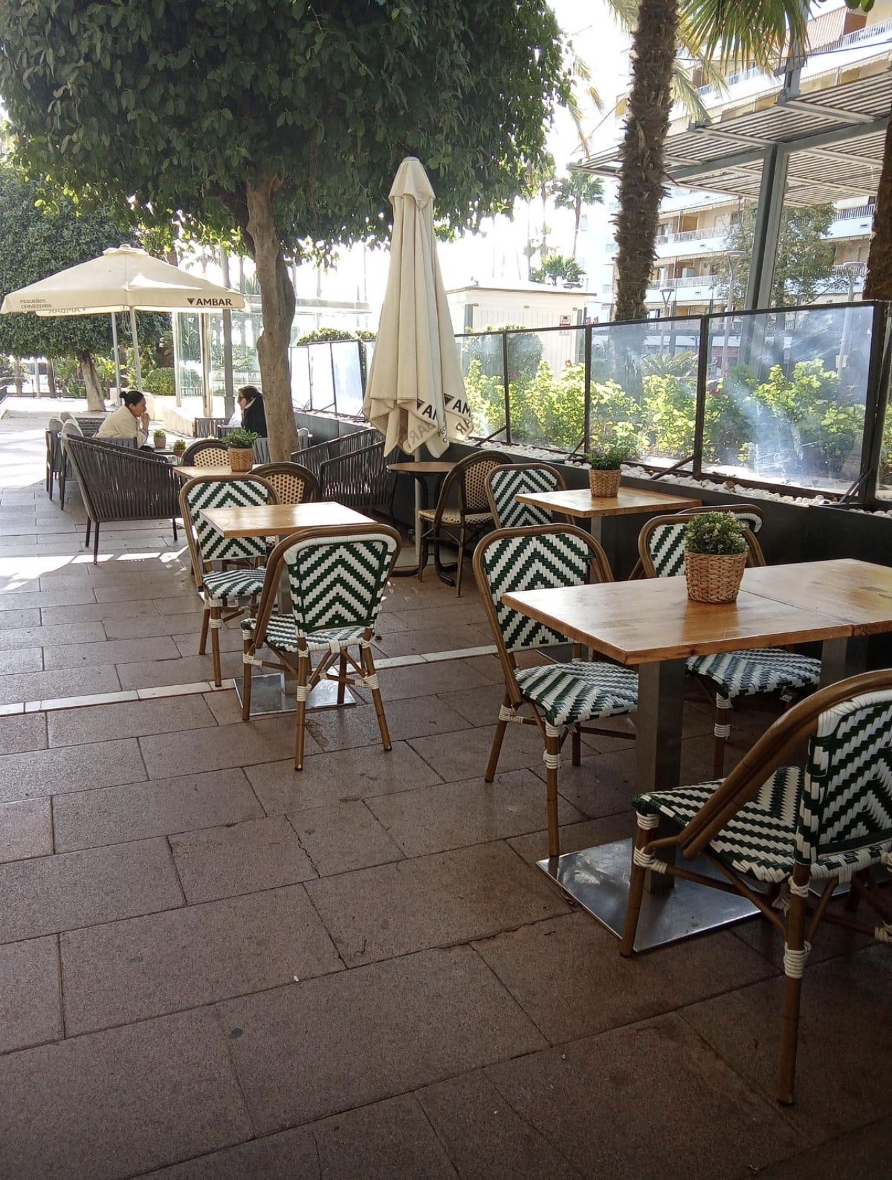 Negocio en traspaso en Avenida del Mar, 14