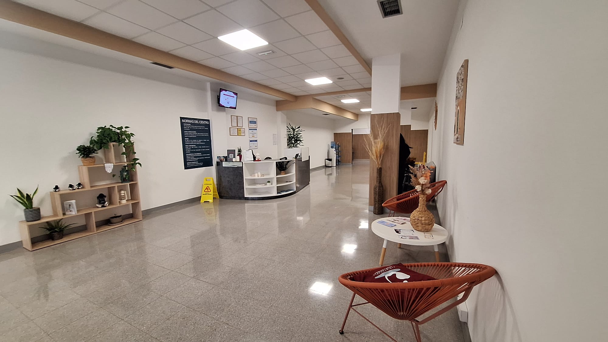Alén fisioterapia, salud y movimiento