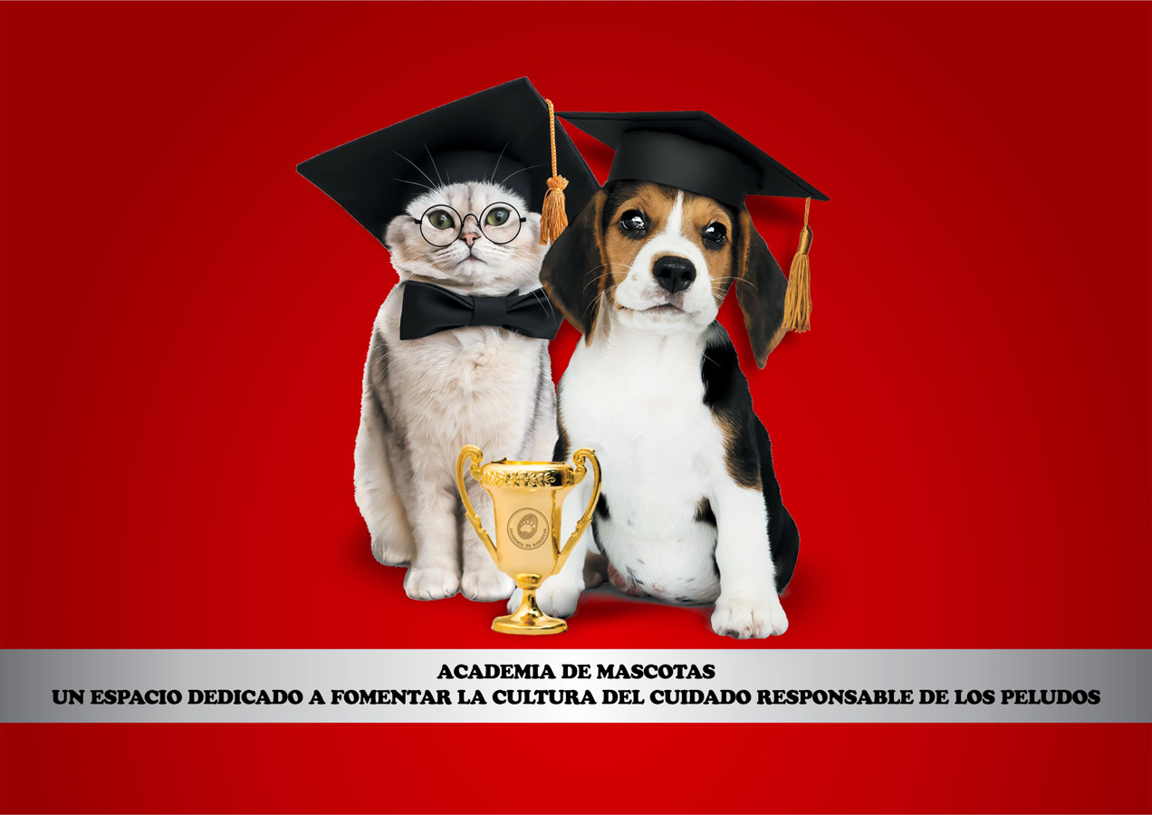 Venta de academia de mascotas en Madrid, España