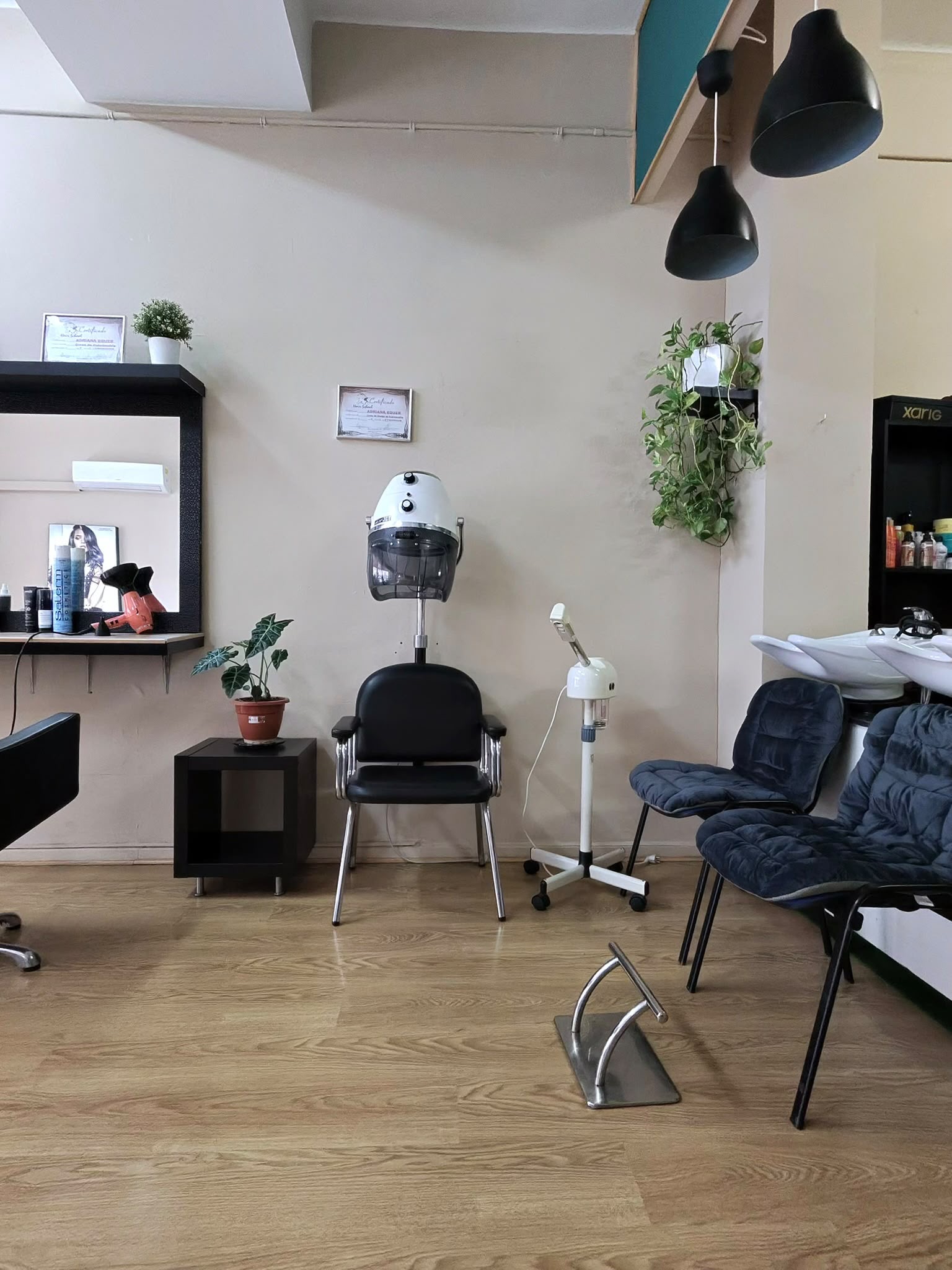 Hair and beauty salon for transfer on Pons i Gallarza, Palma
