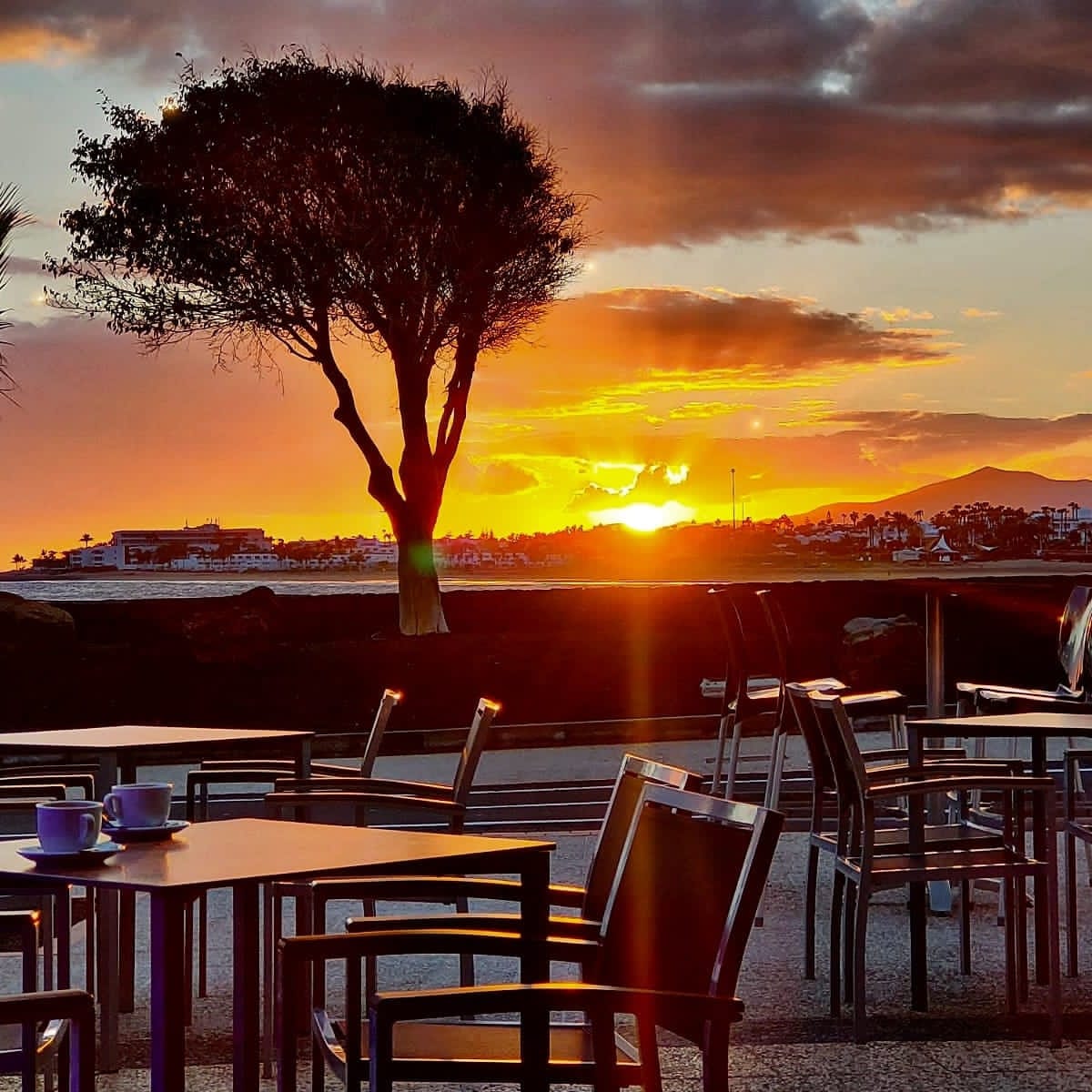 Café bar for transfer on Avenida las playas, Tias