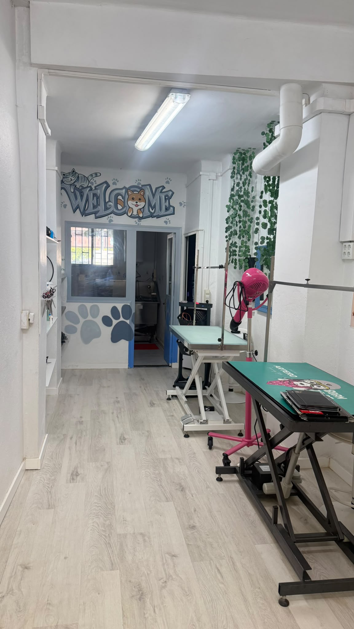Hundesalon zur Übernahme in der Carrer de la Barca, Girona