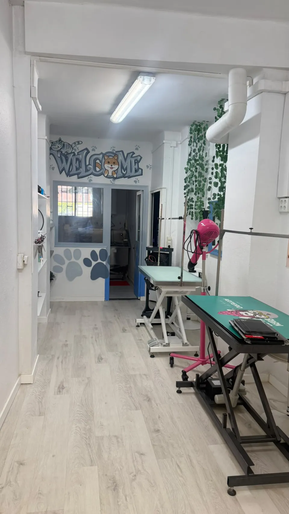 Traspaso de peluquería canina y spa en Carrer de la Barca, Girona